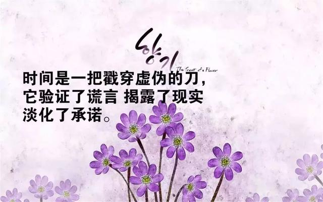 感悟生命的真谛：经典语录带给你启迪